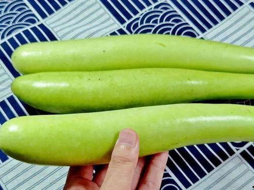 九月吃瓜版,盘点当月热门事件与话题