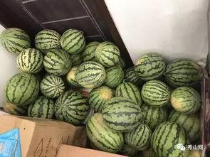 深圳晚霞吃瓜视频,一场别开生面的吃瓜盛宴