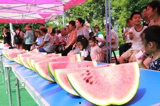 清凉一夏拾趣吃瓜节