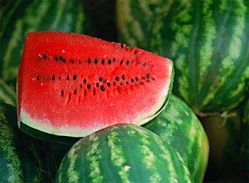 怀孕可以吃篮瓜,篮瓜，营养美味两不误