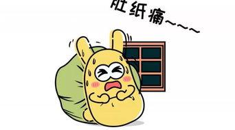 吃瓜群众来相会,一场欢乐的相遇盛宴