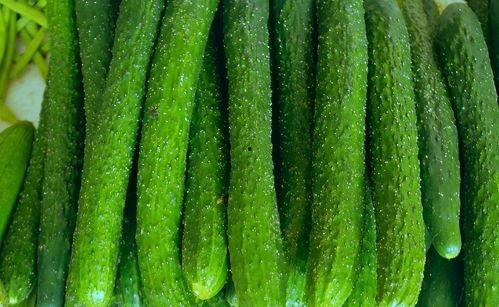 会吃瓜的苞米,揭秘农村生活的趣味与智慧