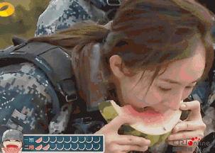 男神经吃瓜群众