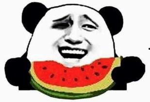 倾国吃瓜群众,揭秘娱乐圈幕后风云