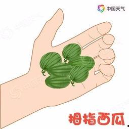 儿子带你吃瓜,儿子带我走进甜蜜的“吃瓜”世界