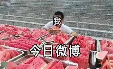 vlog吃瓜大赛视频,一场视觉盛宴与味蕾挑战的较量