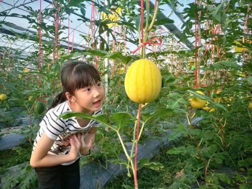 垂直吃瓜,揭秘娱乐圈的幕后故事